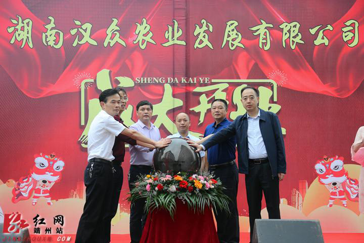 湖南漢眾農(nóng)業(yè)發(fā)展有限公司,懷化純天然七角艾草植物種植,懷化艾制品制造銷售