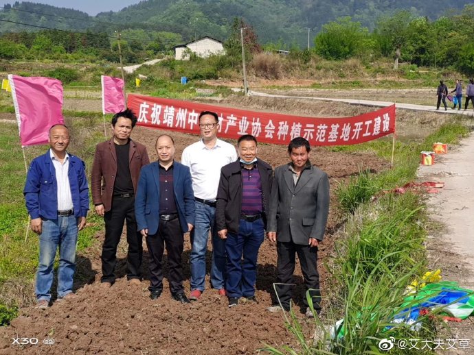 湖南漢眾農(nóng)業(yè)發(fā)展有限公司,懷化天然七角艾草植物種植,懷化艾制品制造銷售