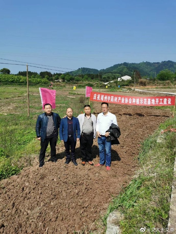 湖南漢眾農(nóng)業(yè)發(fā)展有限公司,懷化天然七角艾草植物種植,懷化艾制品制造銷售
